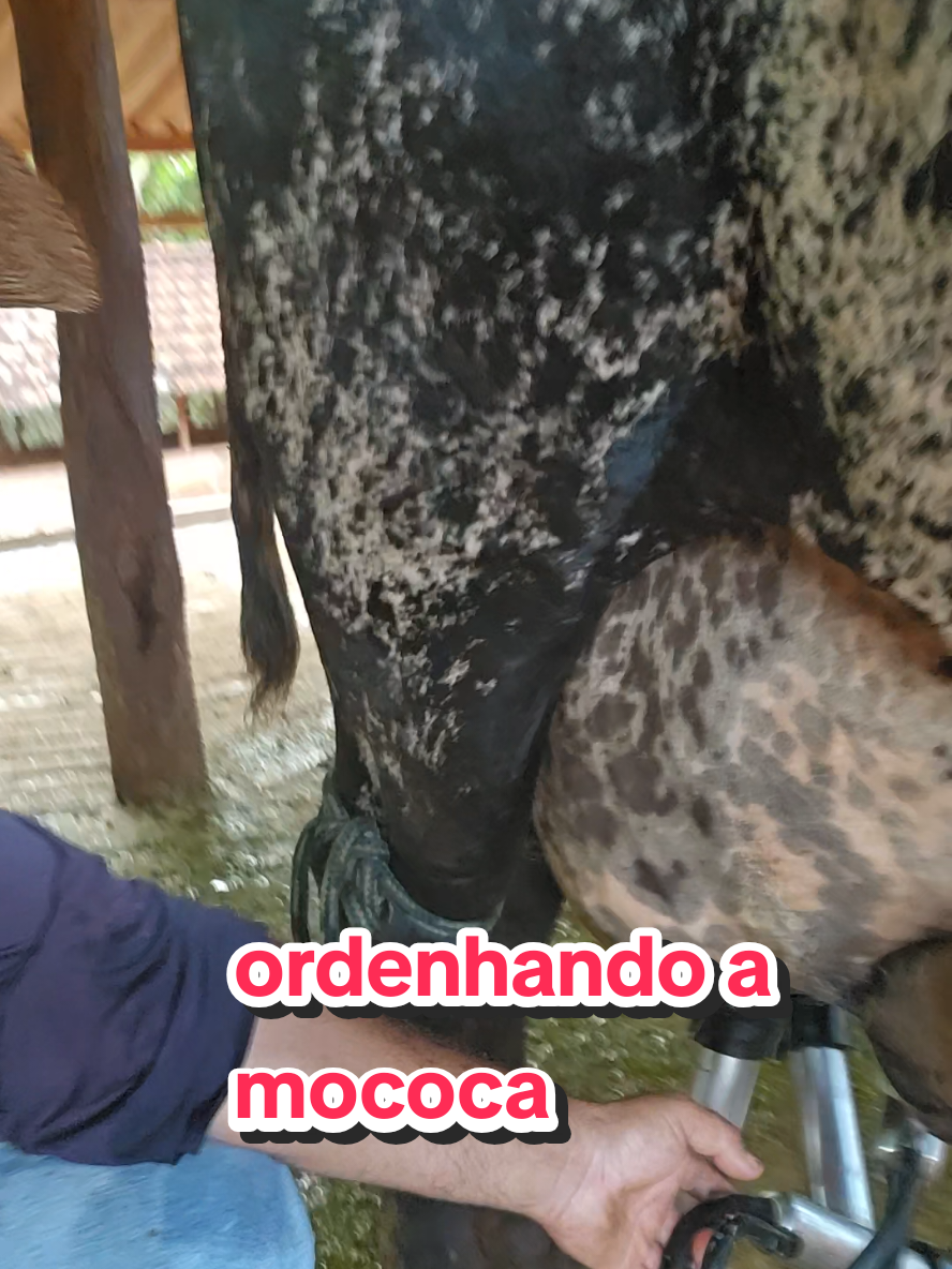 @Geovane neto