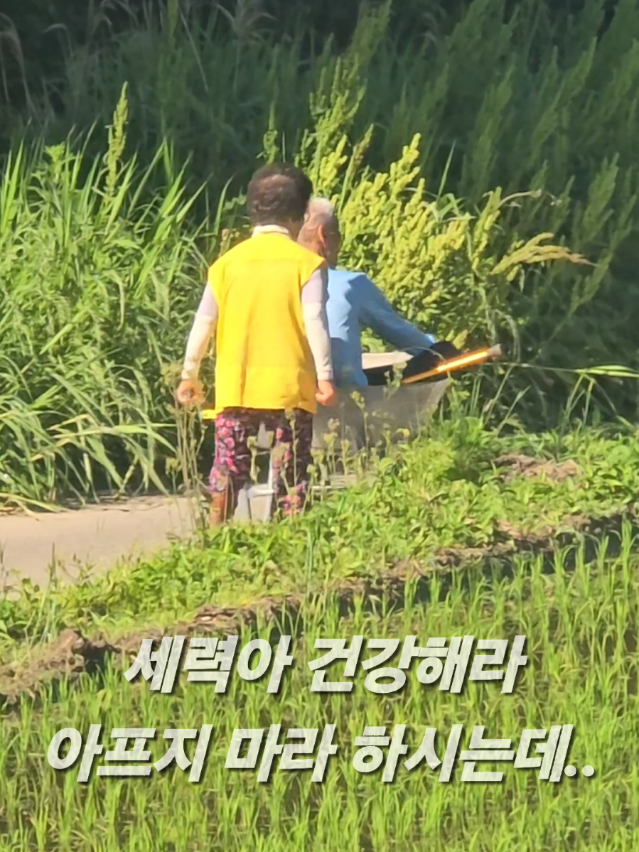 @유튜브 윤파머 납작복숭아