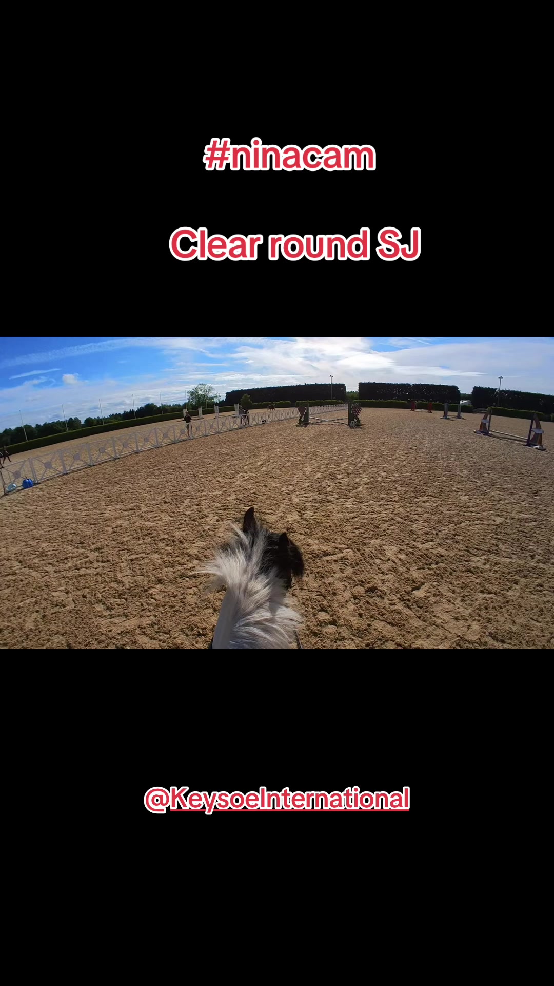 @Nina’s Pony Adventures ❤️
