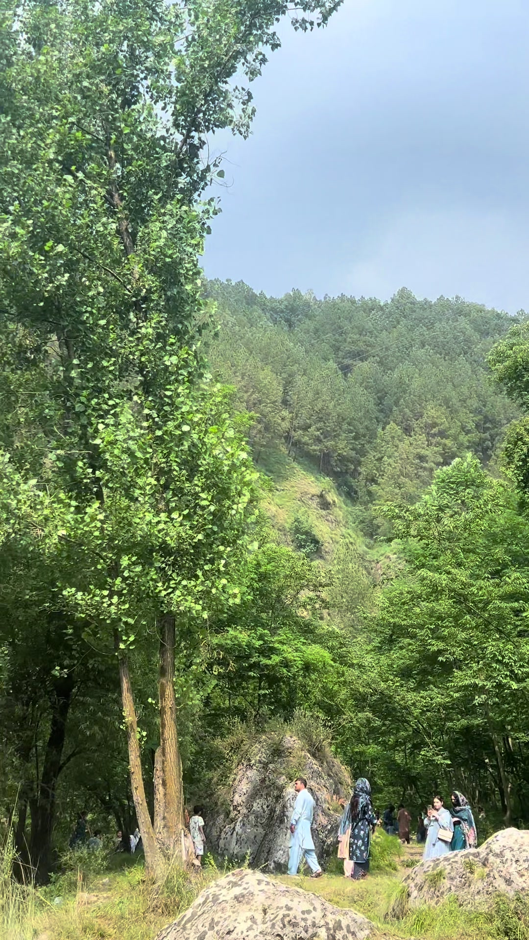 @محمد بھائی راولپنڈی