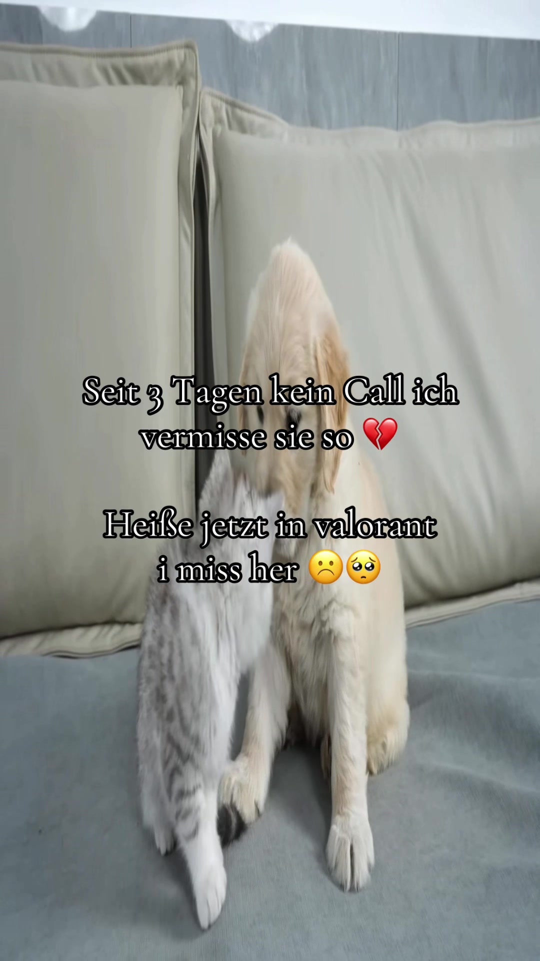@Eierkopfsalat