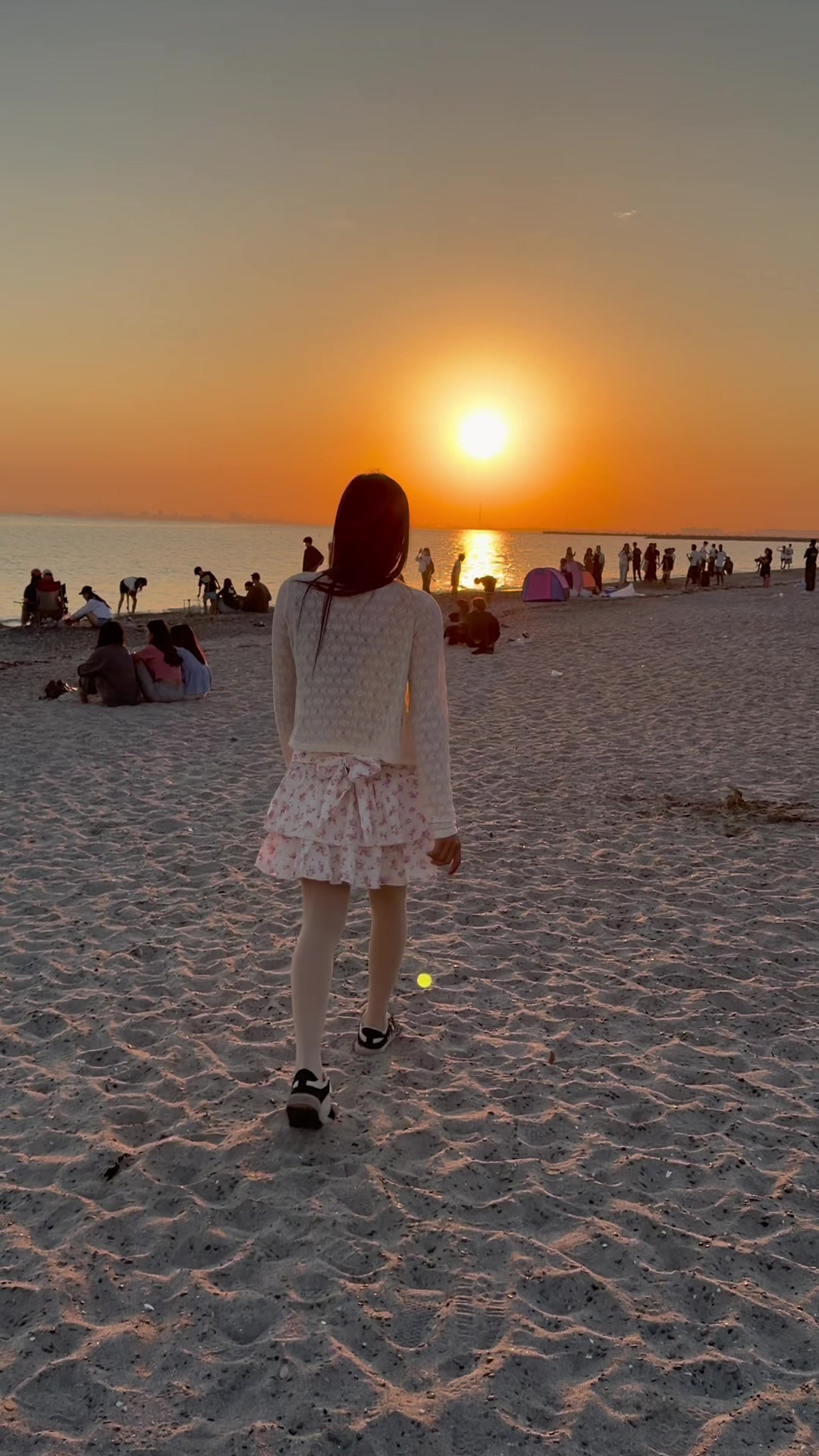 @ロジナ❤️シャム🇯🇵🇯🇵