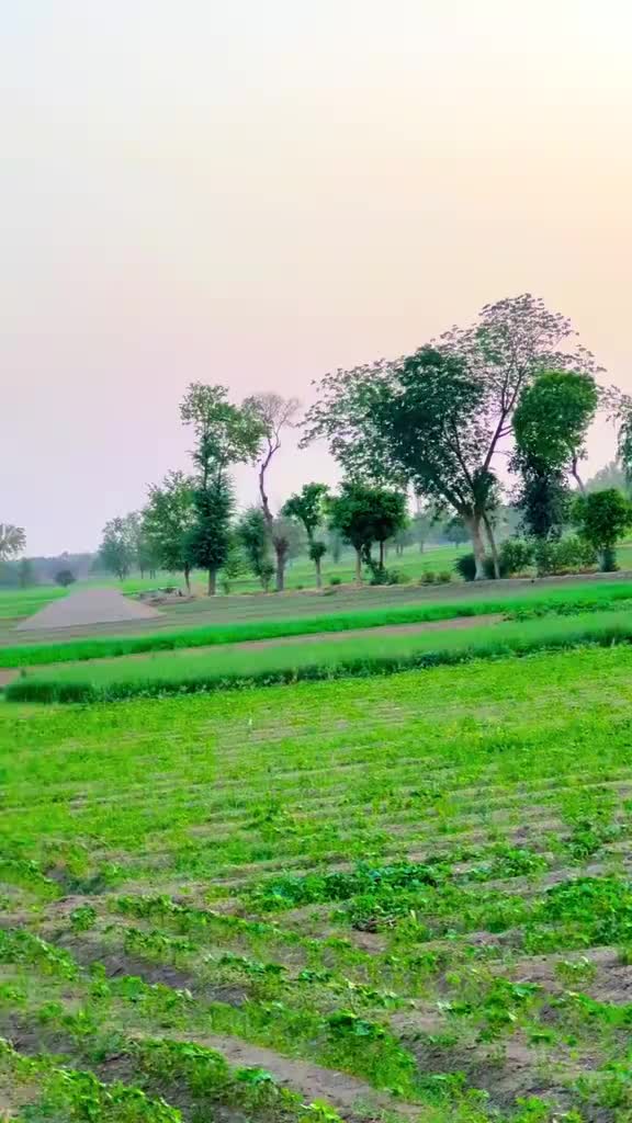 @🥷Malik Usman Khokhar 🥷🦅🦅