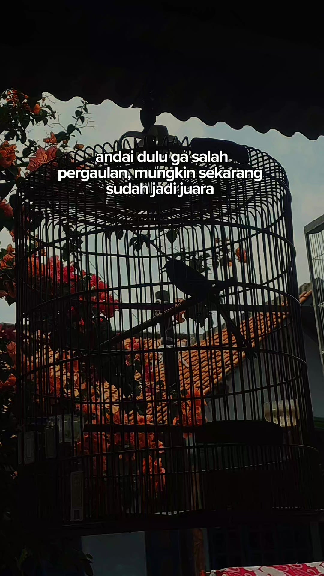 @fixrihidayat