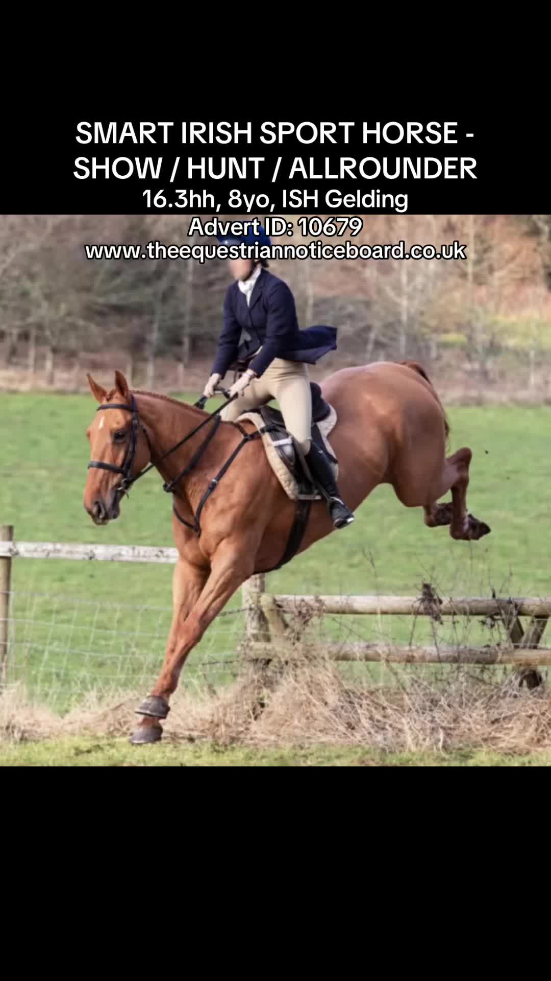 @theequestriannoticeboard