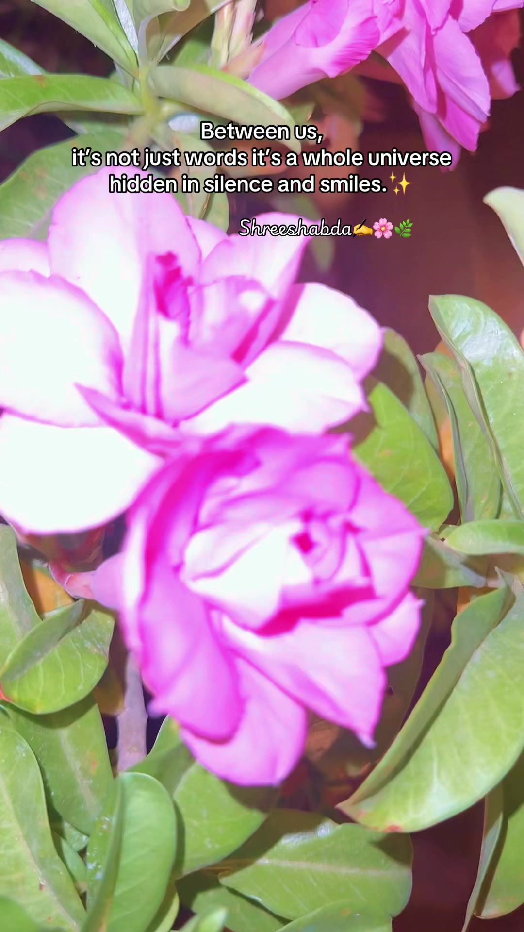 @🌿श्रीशब्द&hellip;.✍️🕊️🍁🍂