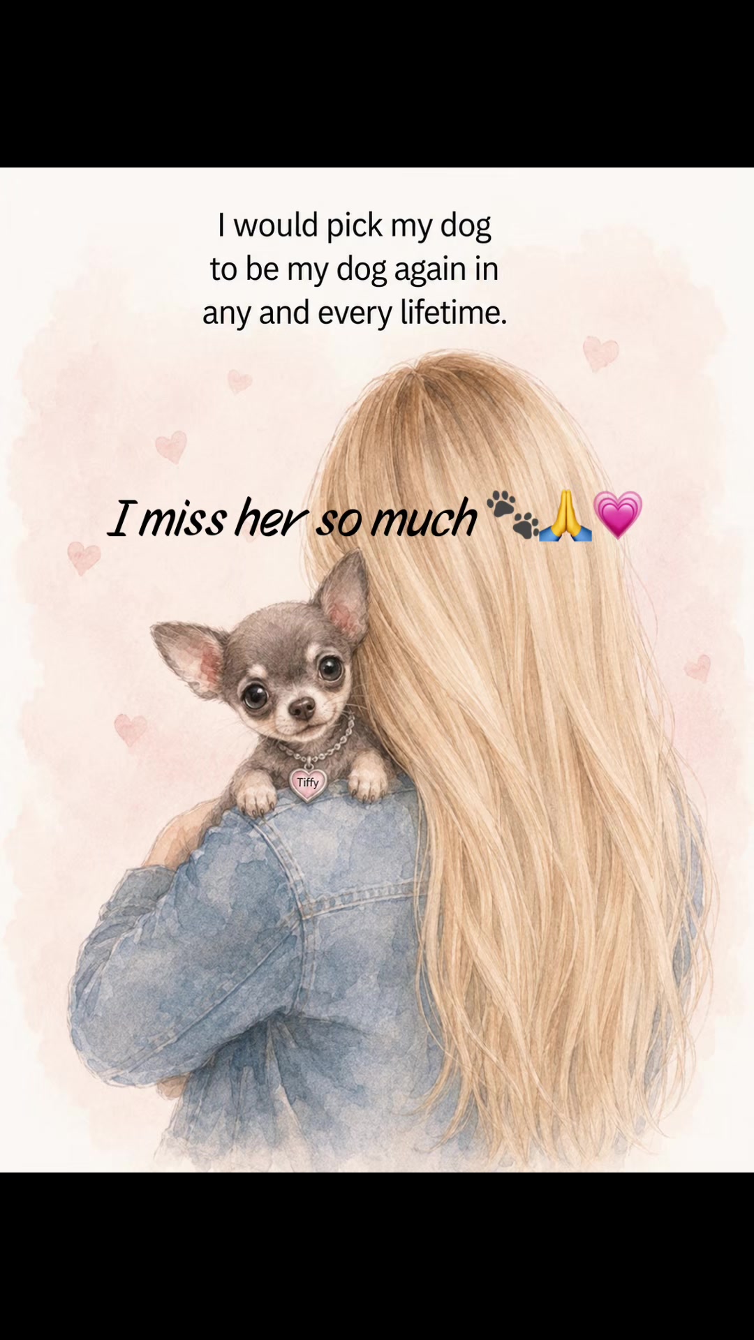 @Tinytiffytheteacupchihuahua