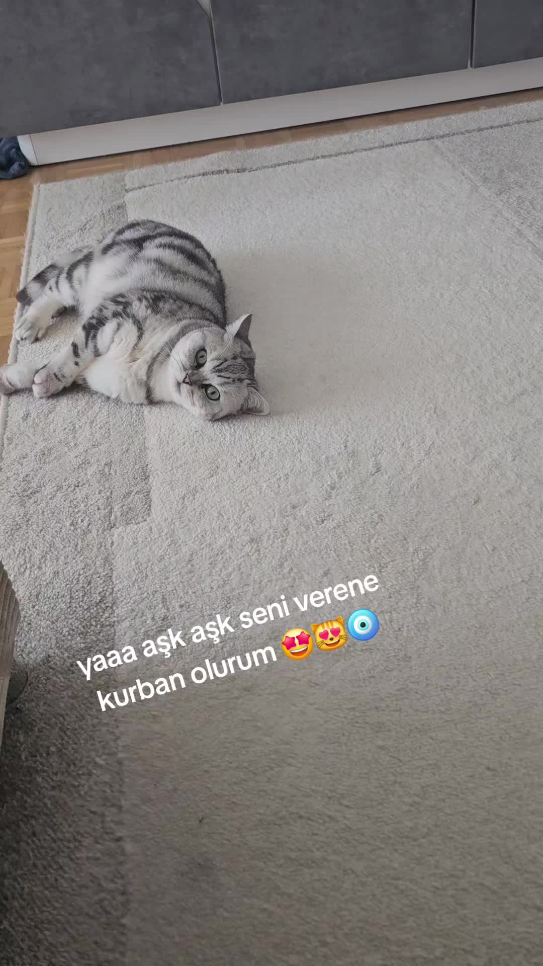 @Gurbetci1461 👨&zwj;👩&zwj;👧&zwj;👦✨️