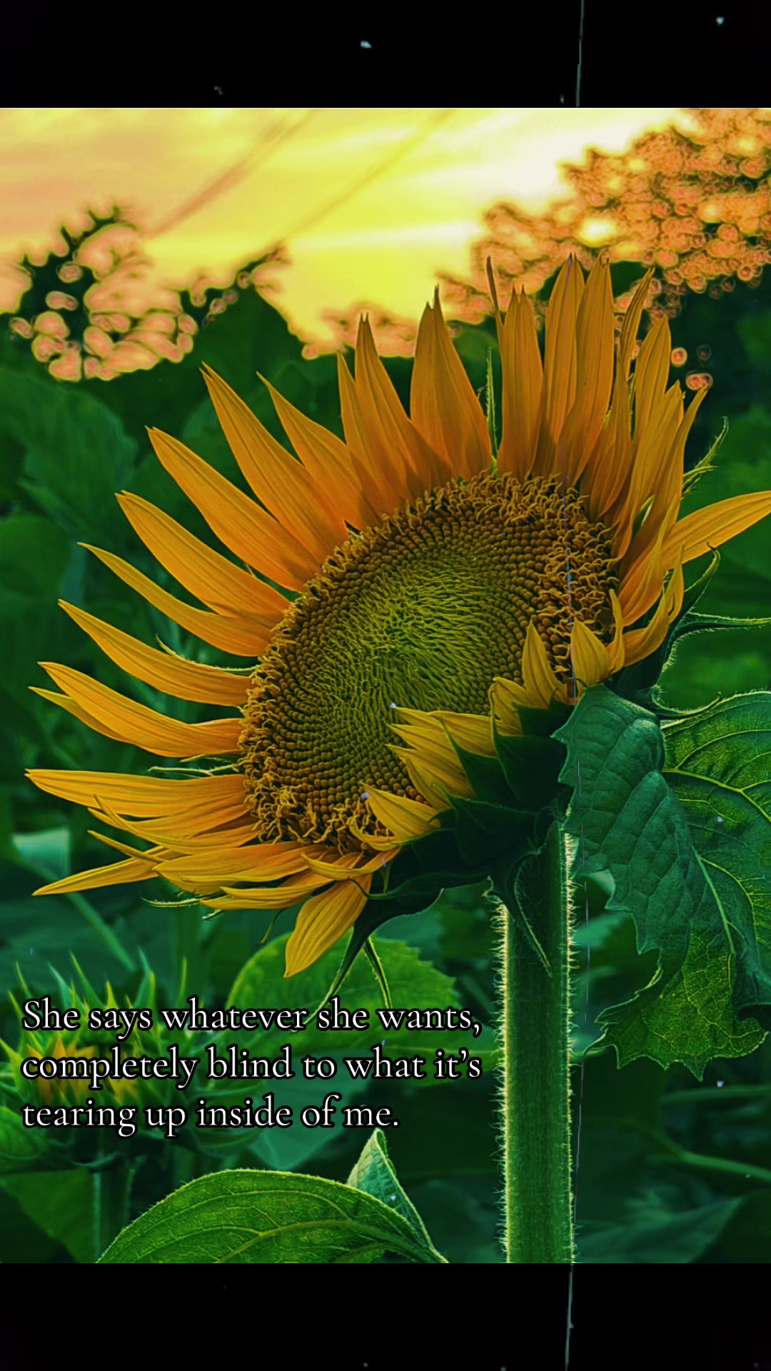 @WAY OF FEELING