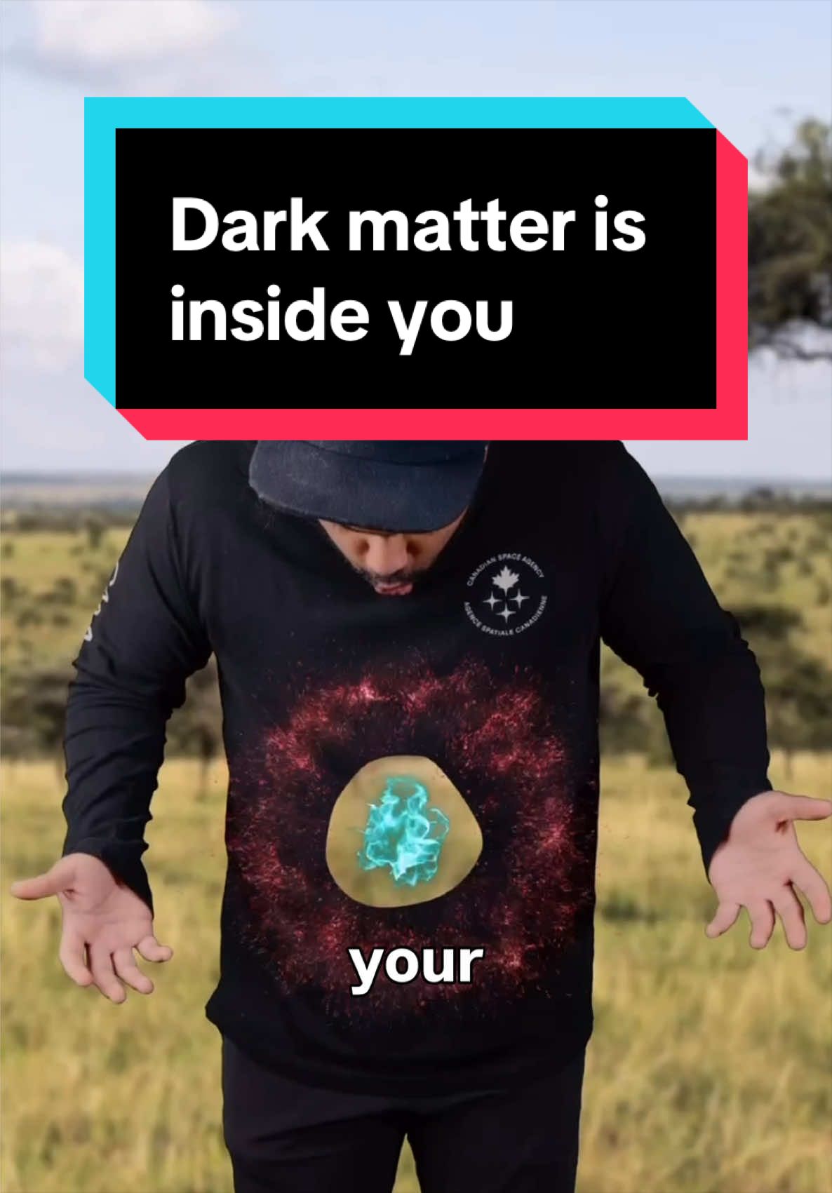 @curiousrondel