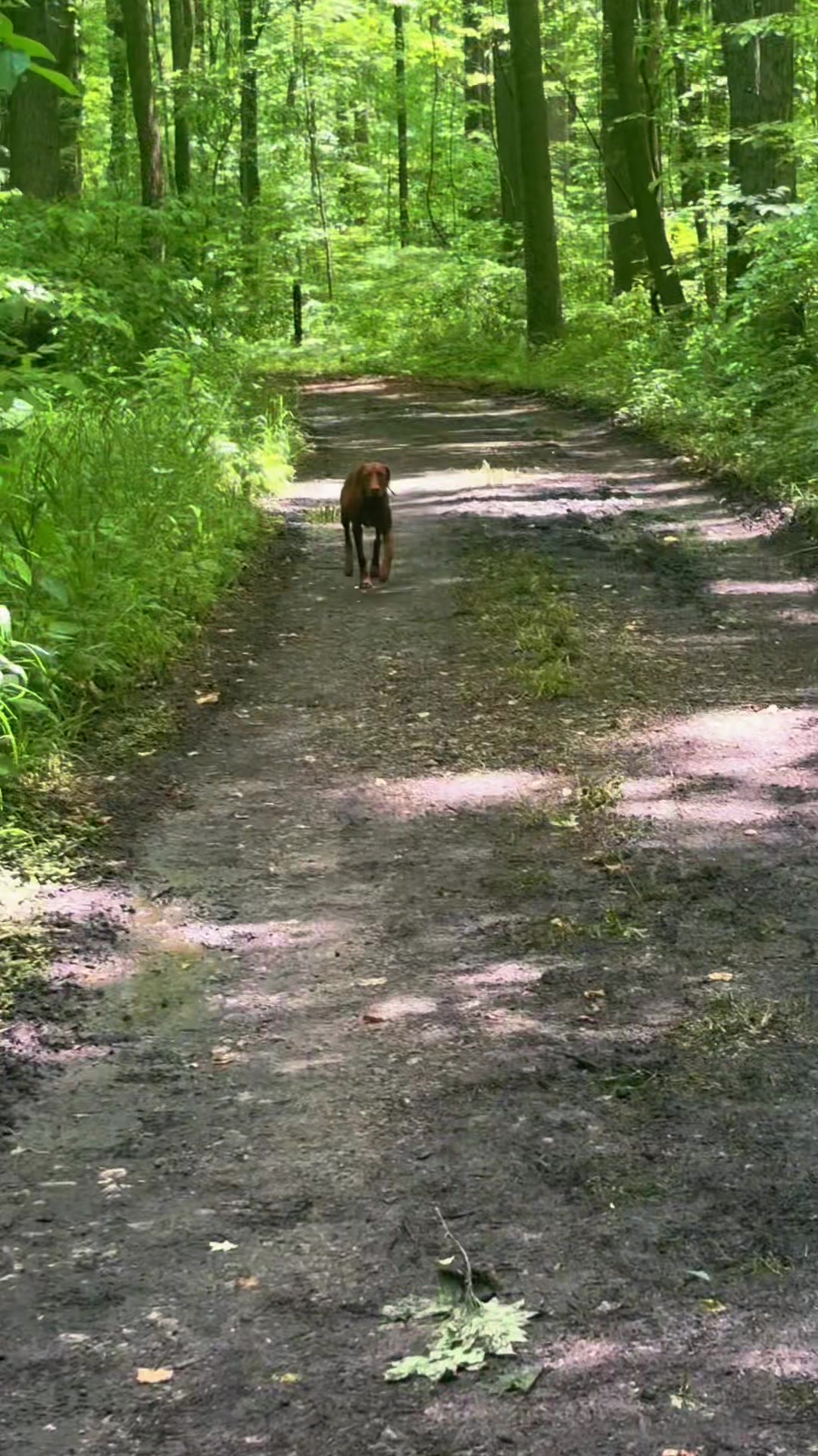 @Wiggle butt