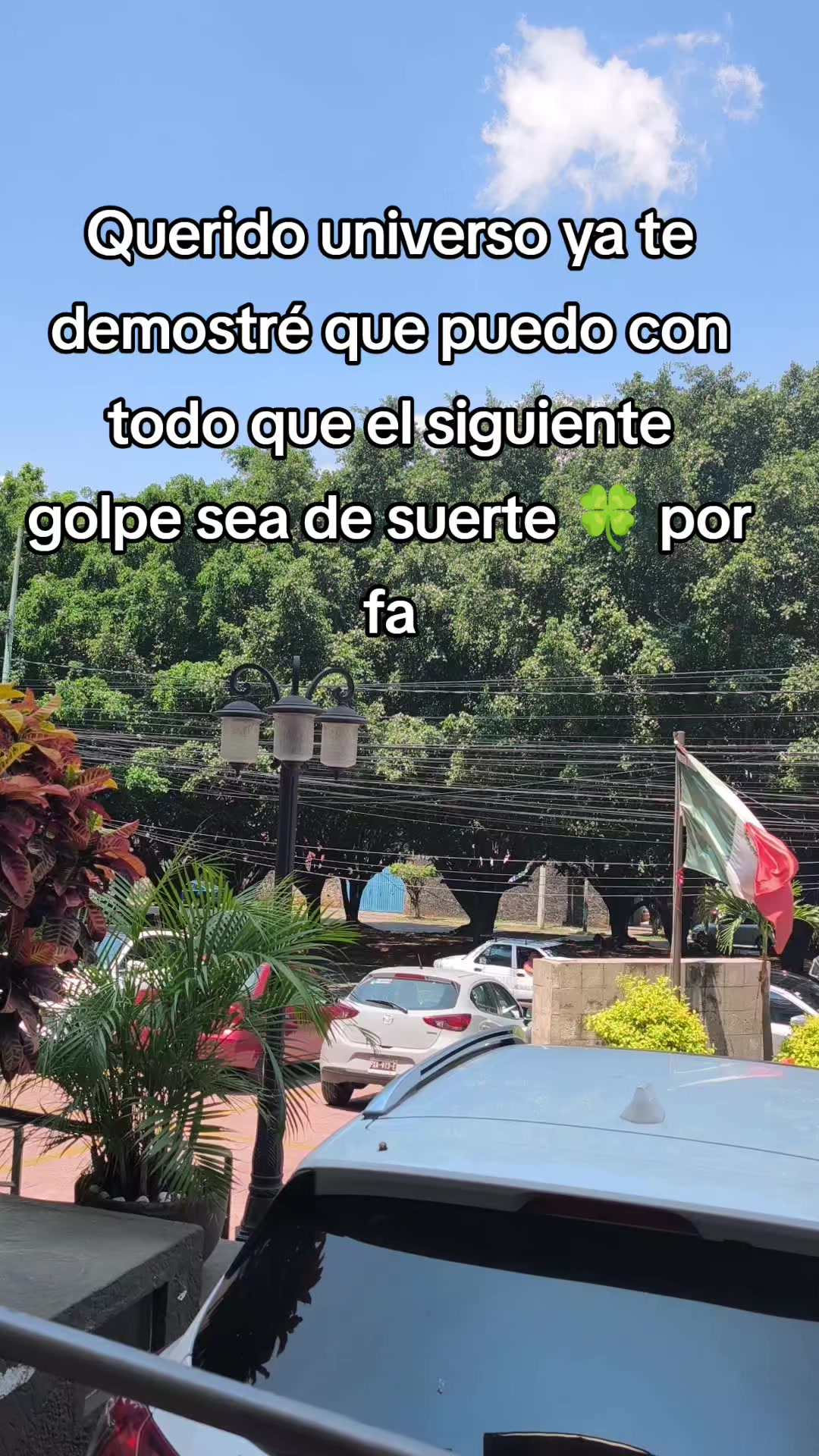 @Ivy Aldama