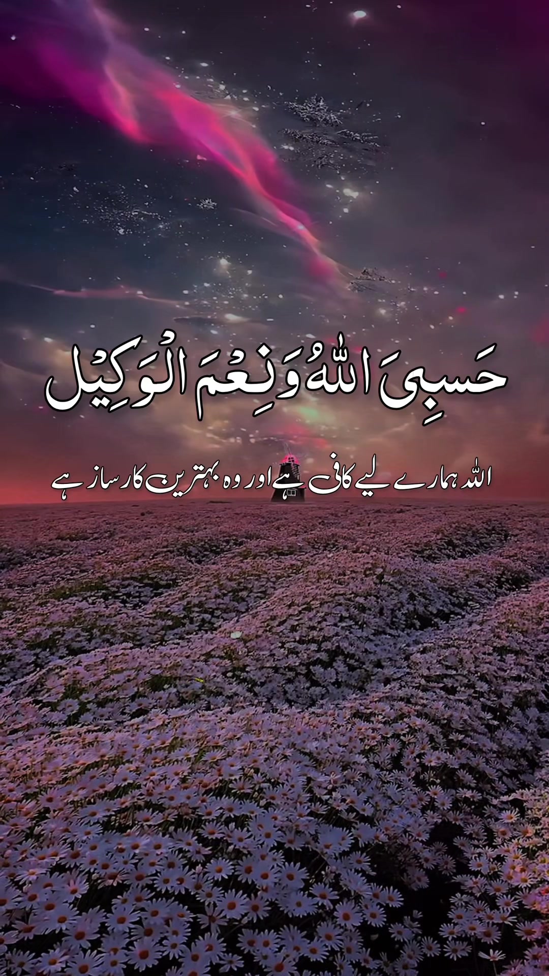 @❣️ Words of Allah ❣️