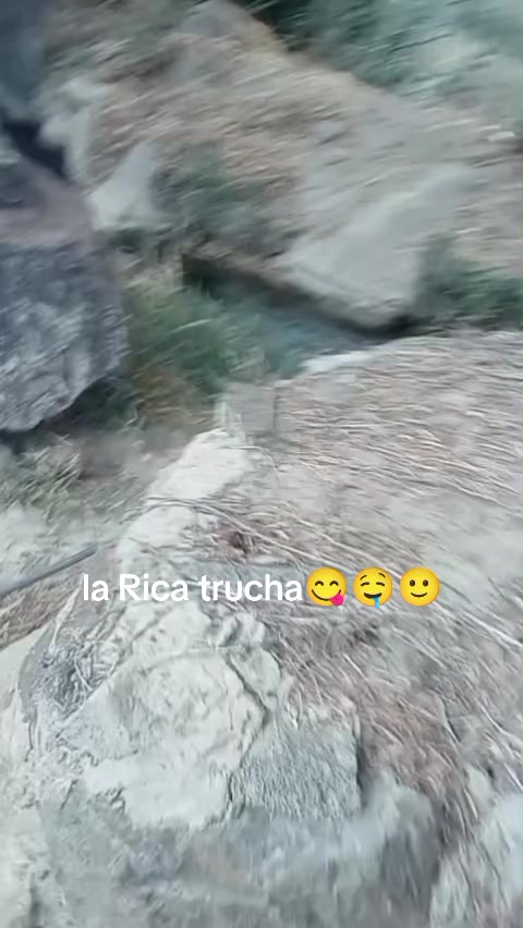 @Isabel Carri&oacute;n