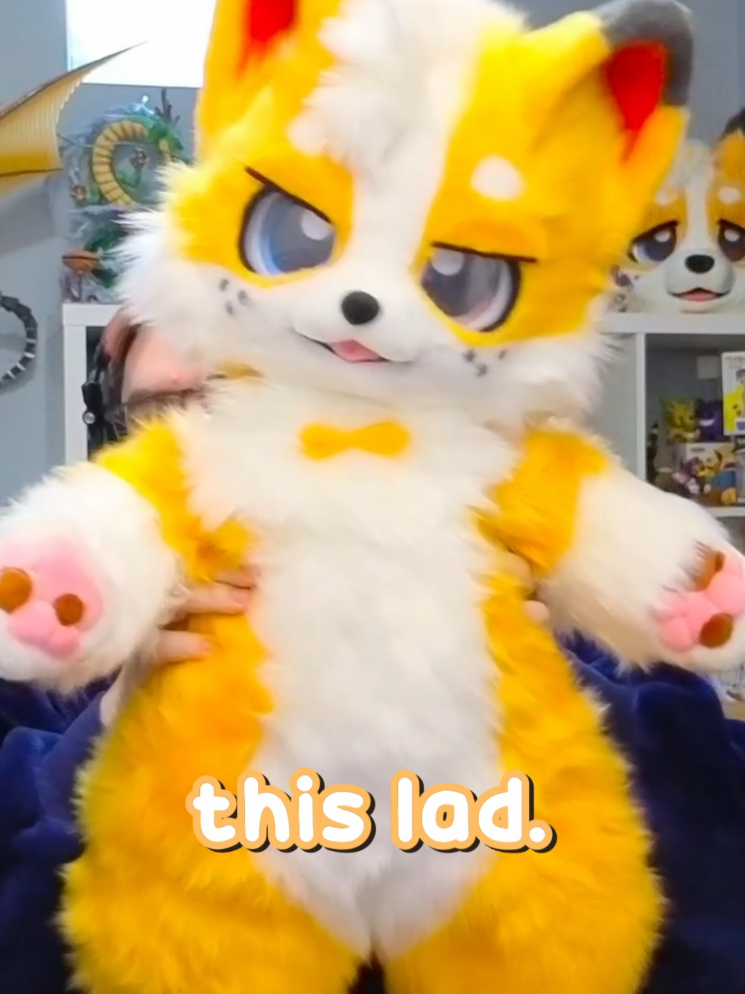 @Corgi