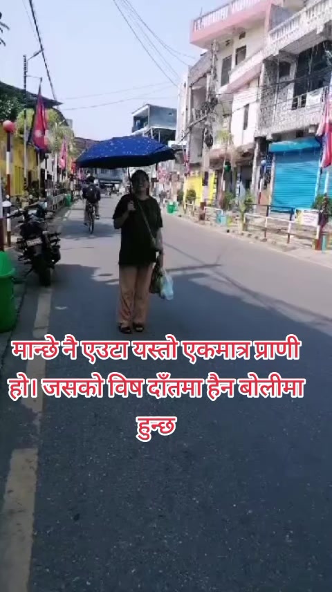@kamalakattel