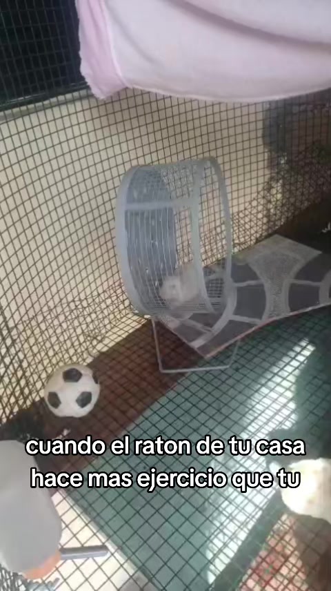 @EltioBaki