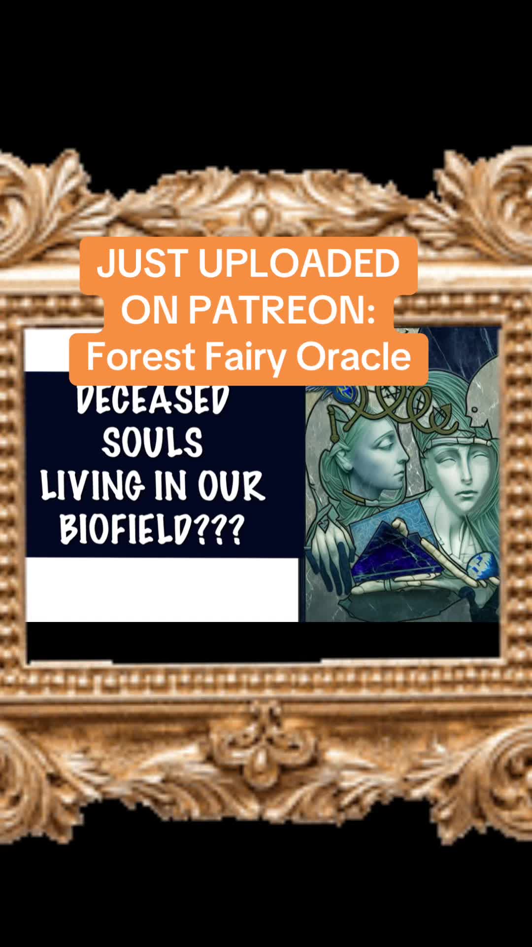 @Forestfairryoracle