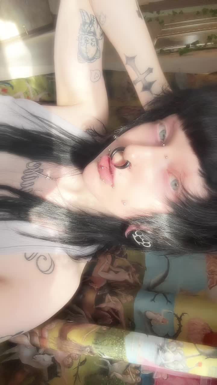 @audreysaysmeow