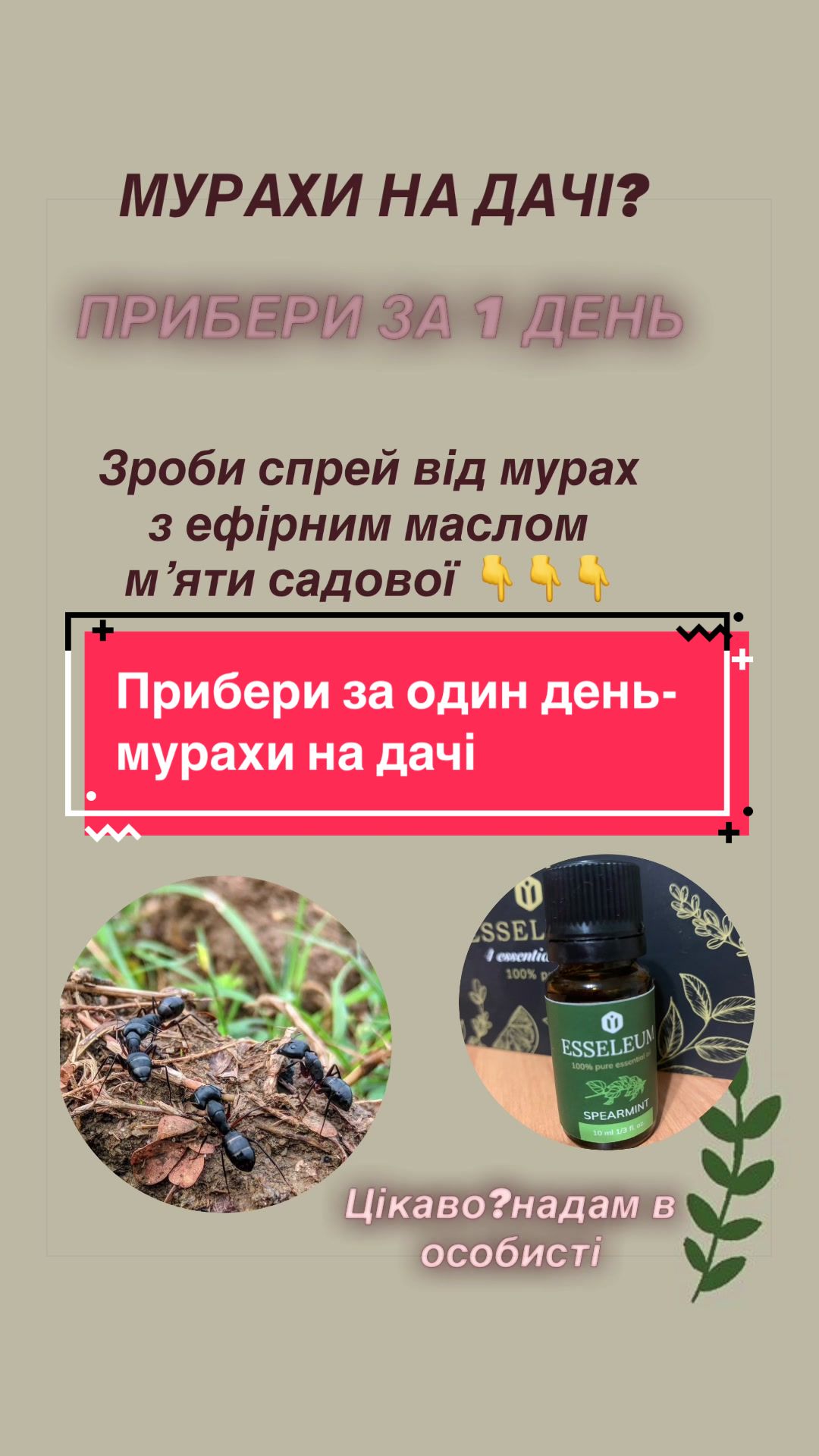@АРОМАТЕРАПИЯ/ЭФИРНЫЕ МАСЛА