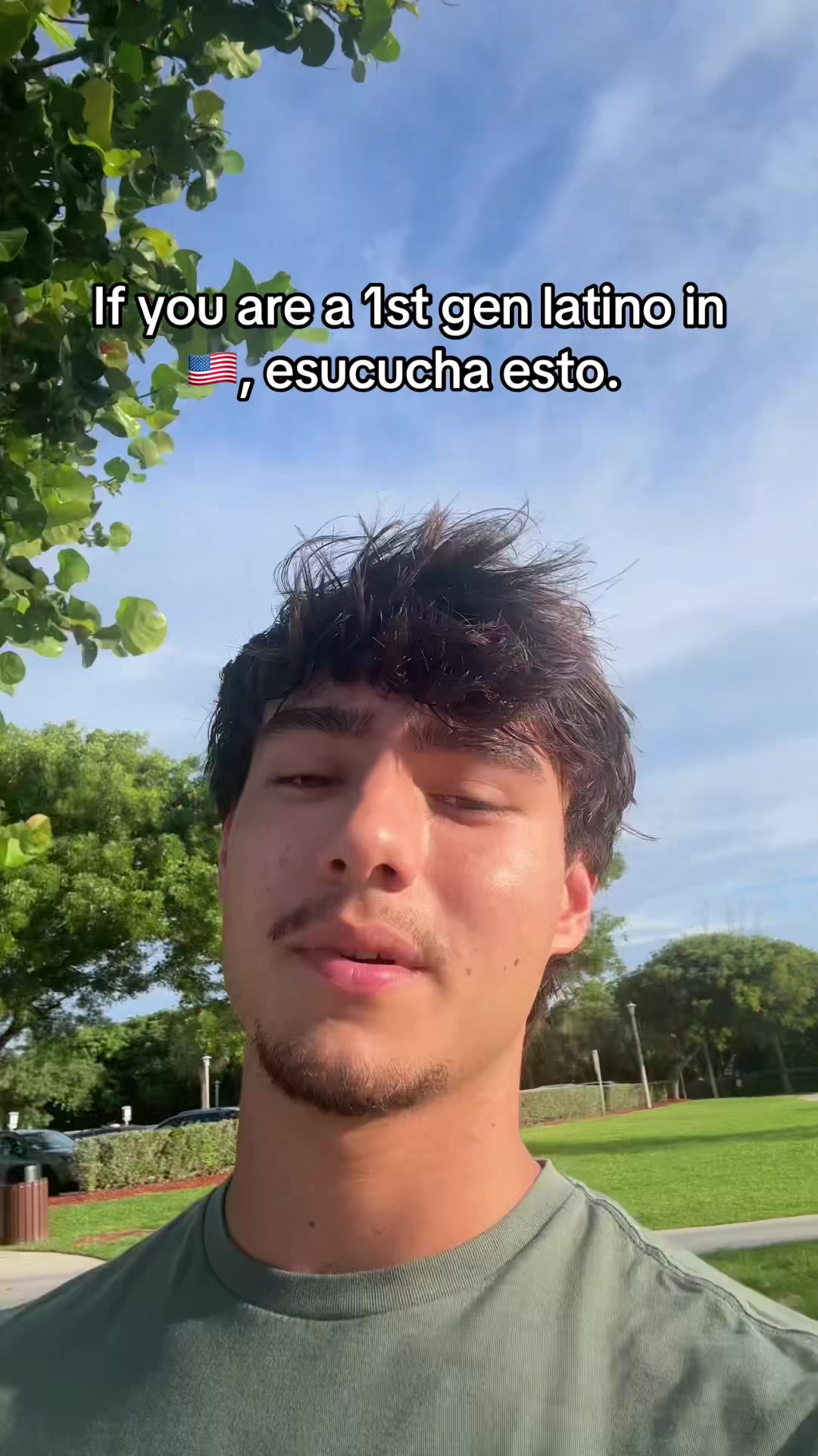 @mendiolaenusa
