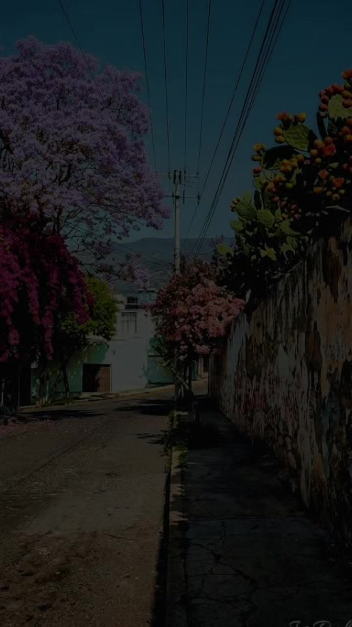 @XILITLECO