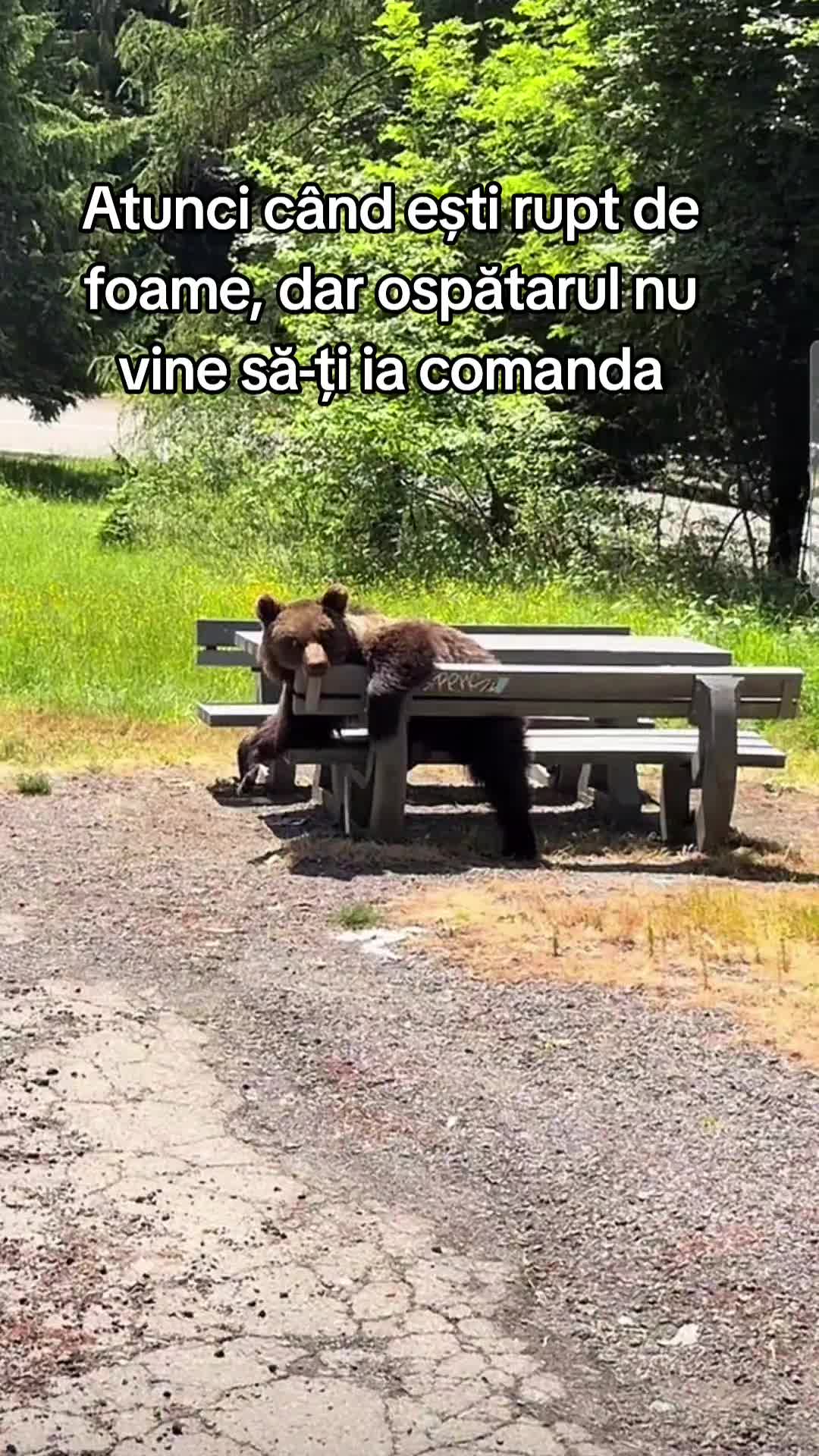 @Papychulo