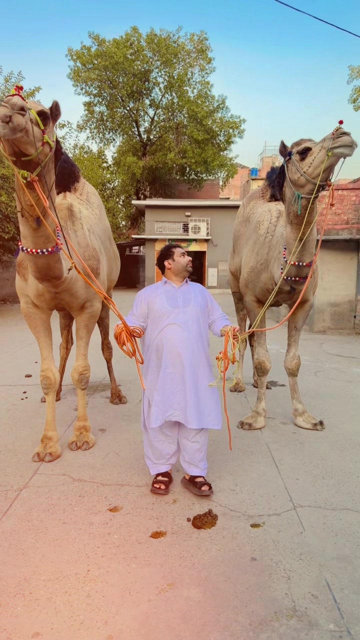 @Zohaib Zuberi