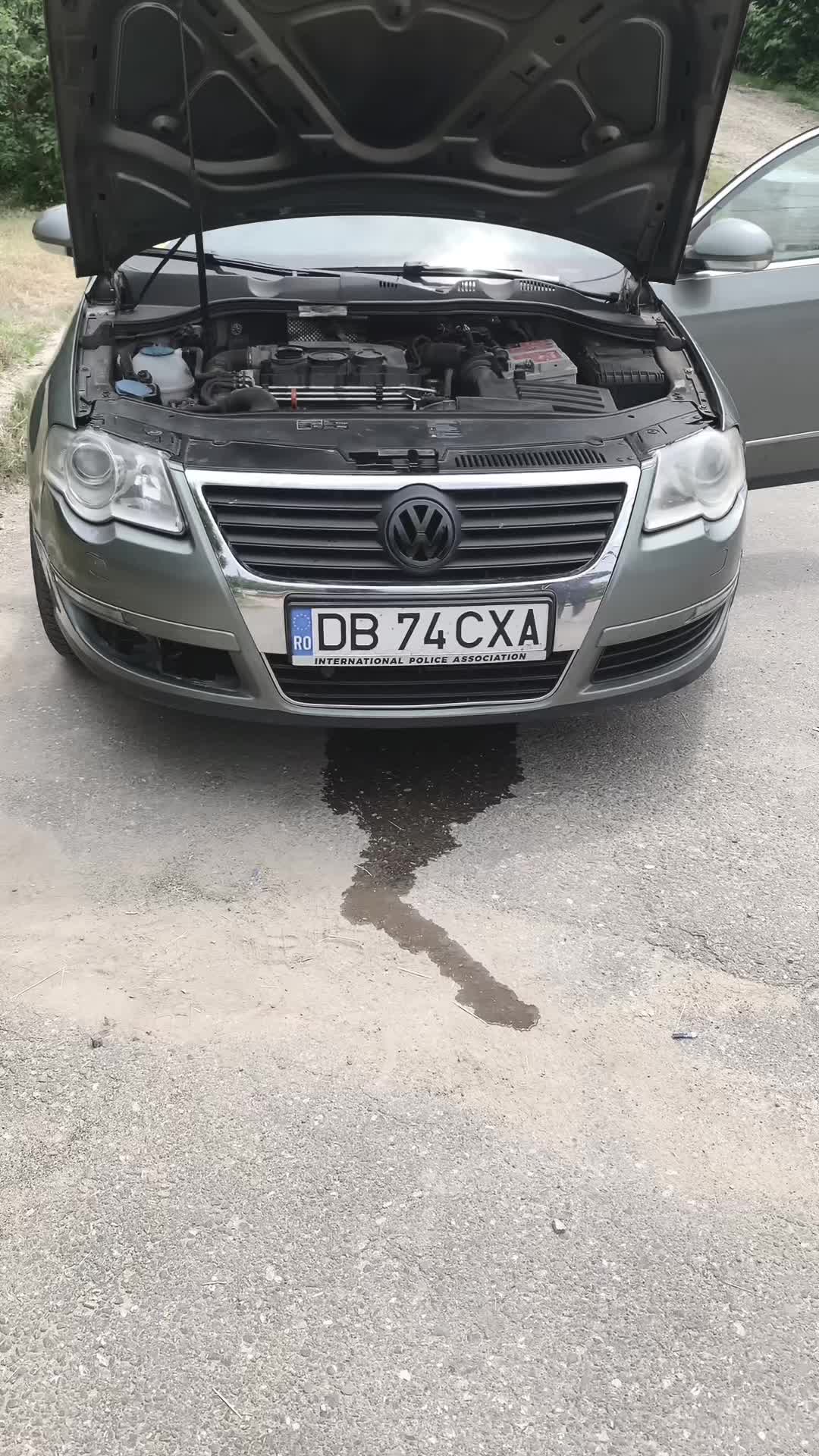 @Teodor