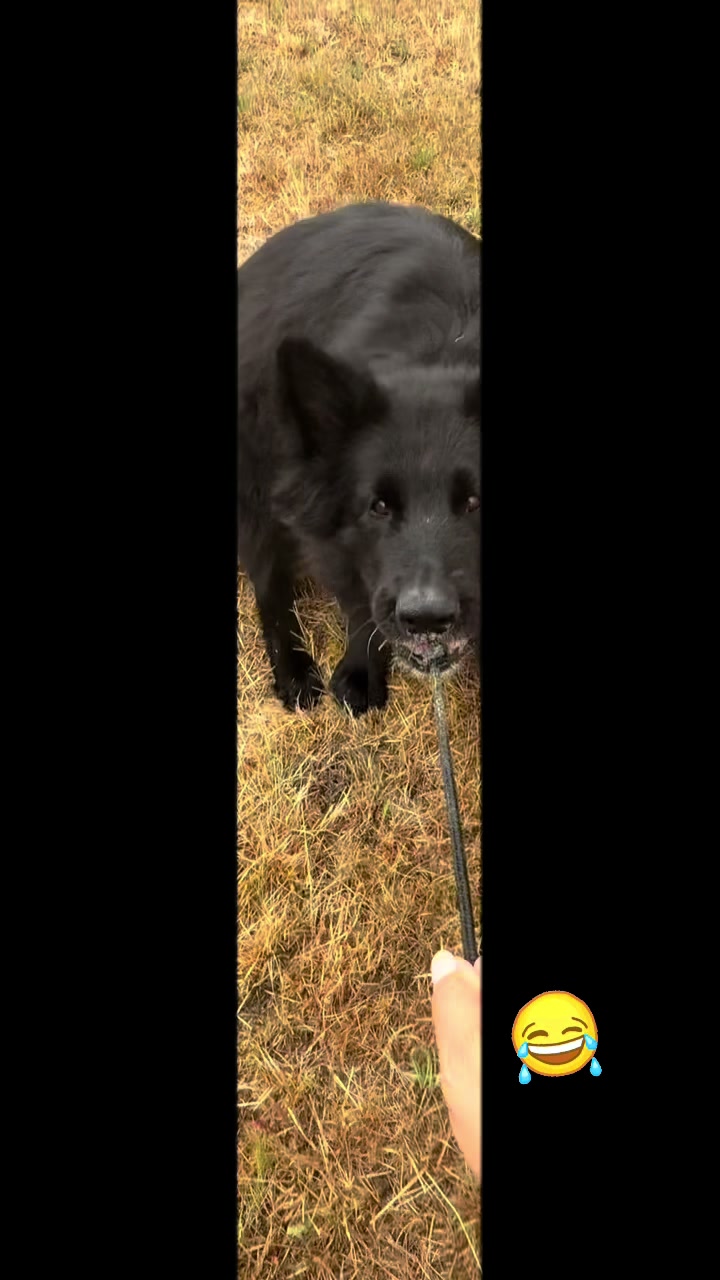 @𝓜𝓲𝓬𝓱𝓲𝓖𝓻𝓪𝓿ᰔ