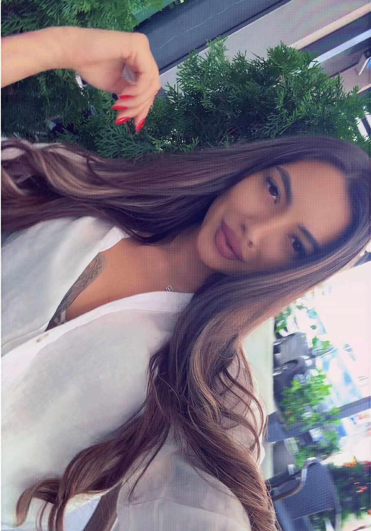 @Amina Bojan