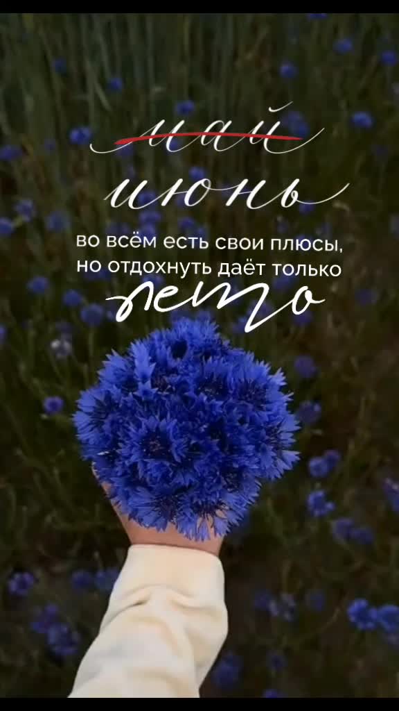 @☆꧁✬◦.𝒱.𝒮𝒽 .✬꧂☆