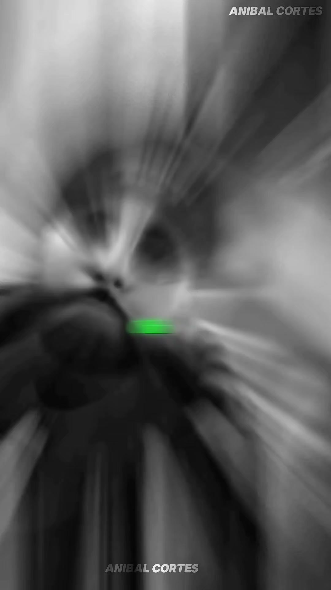 @𝗔𝗻𝗶𝗯𝗮𝗹_𝗖𝗼𝗿𝘁𝗲𝘀