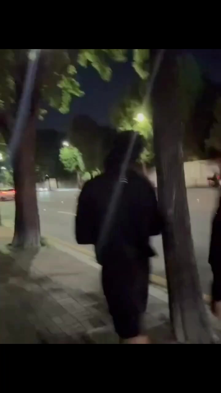 @🍀킴 피트리🐹💫
