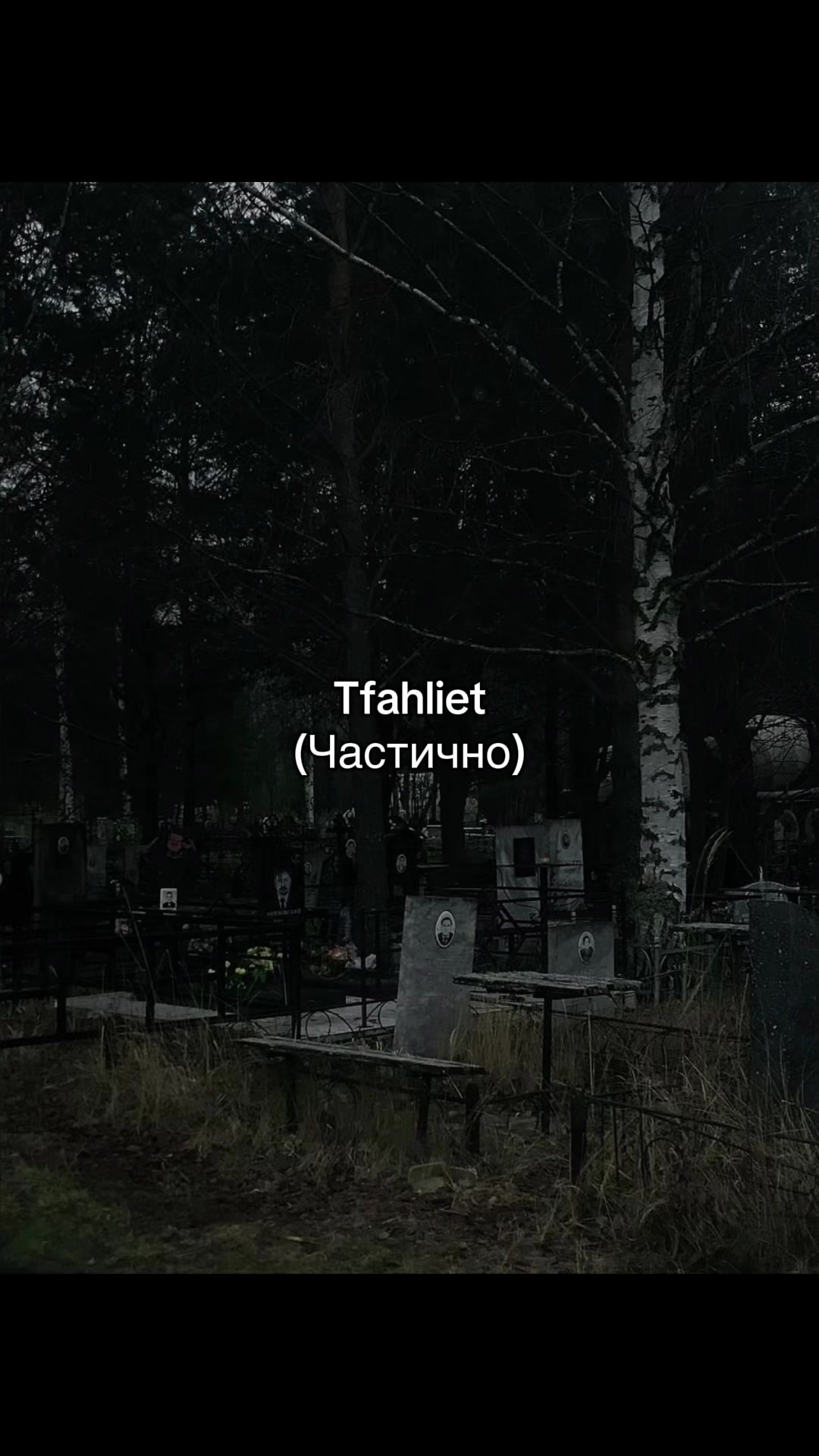 @тгк: frogielikes