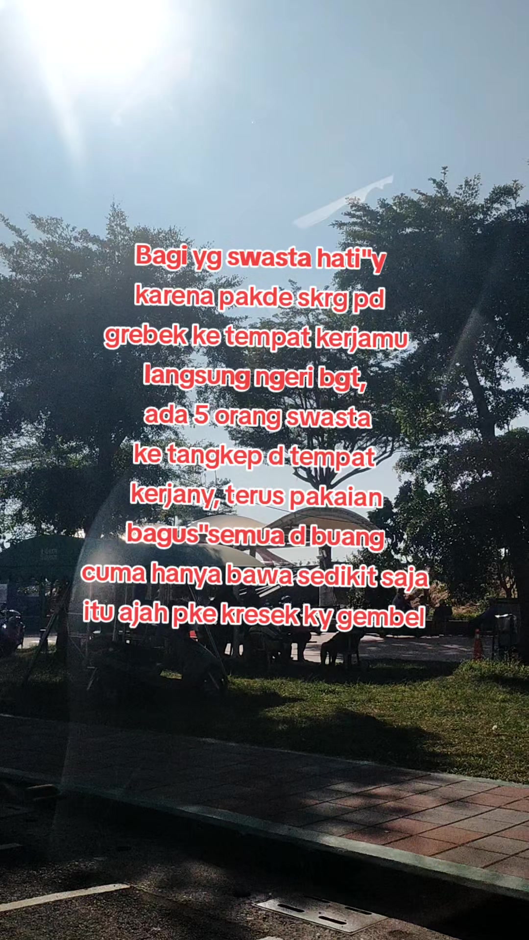 @🐇 penghuni  pingtung 🐇✅