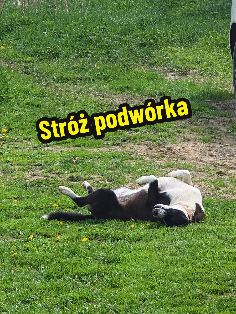 @Ania z Bieszczadzkiej Hecy🇵🇱