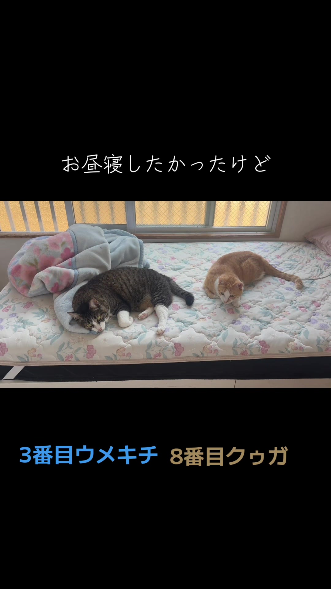 @てるぼー