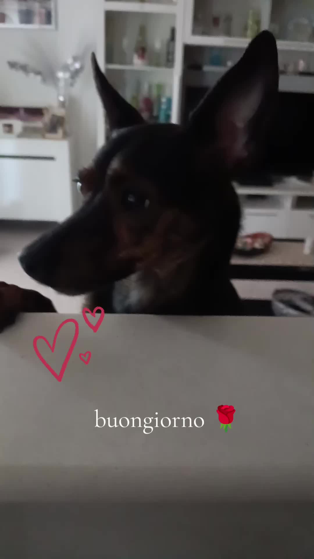 @mariaaaaaa