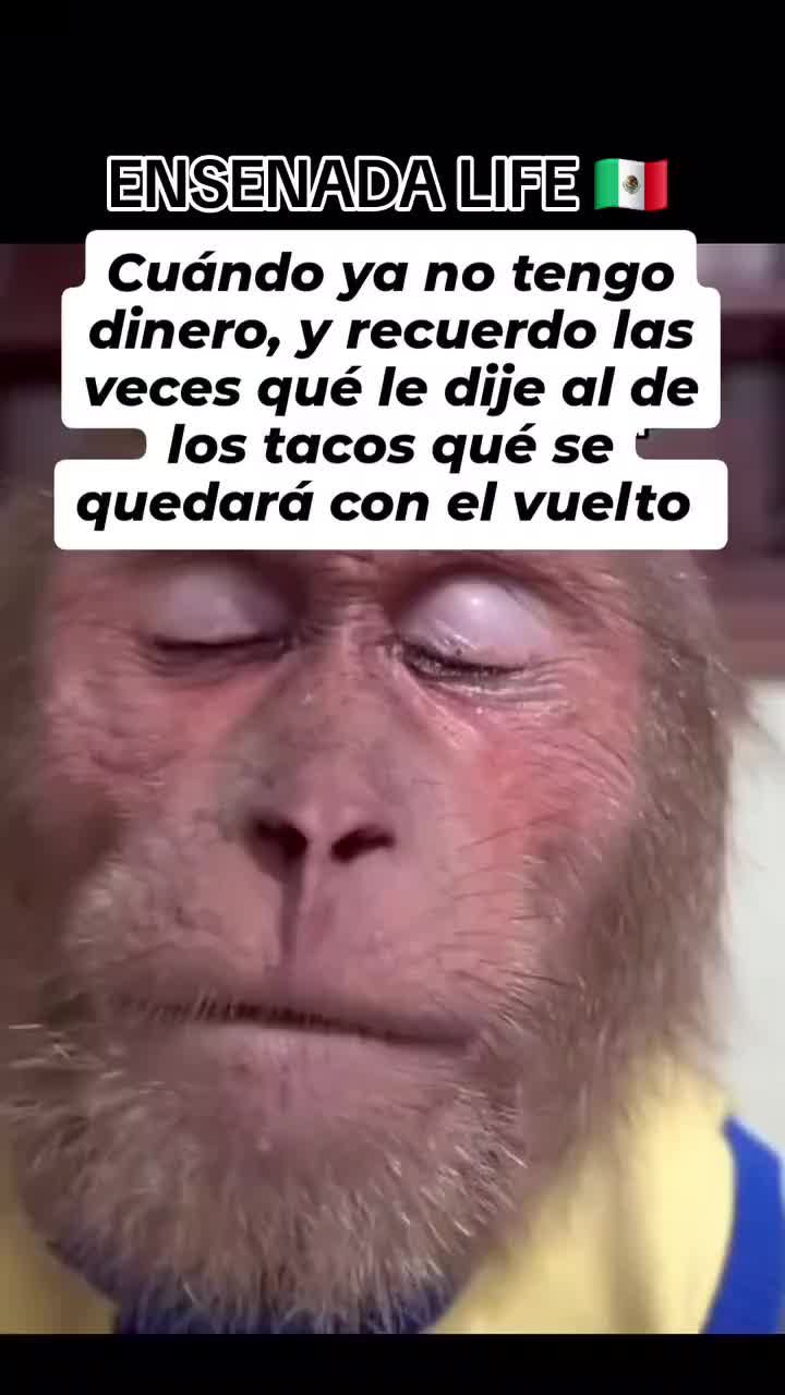 @EL Gallo Salcedo🇲🇽