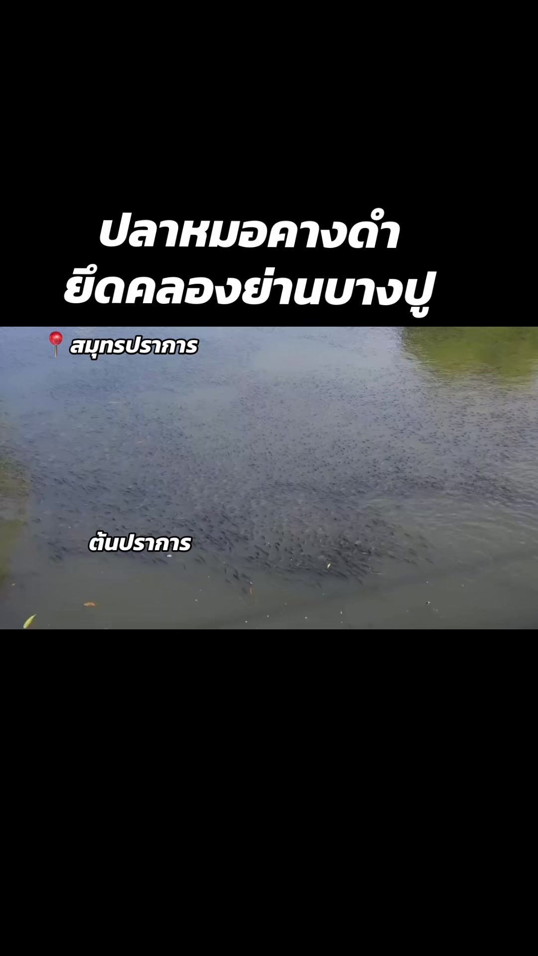 @ต้นปราการ.นิวส์