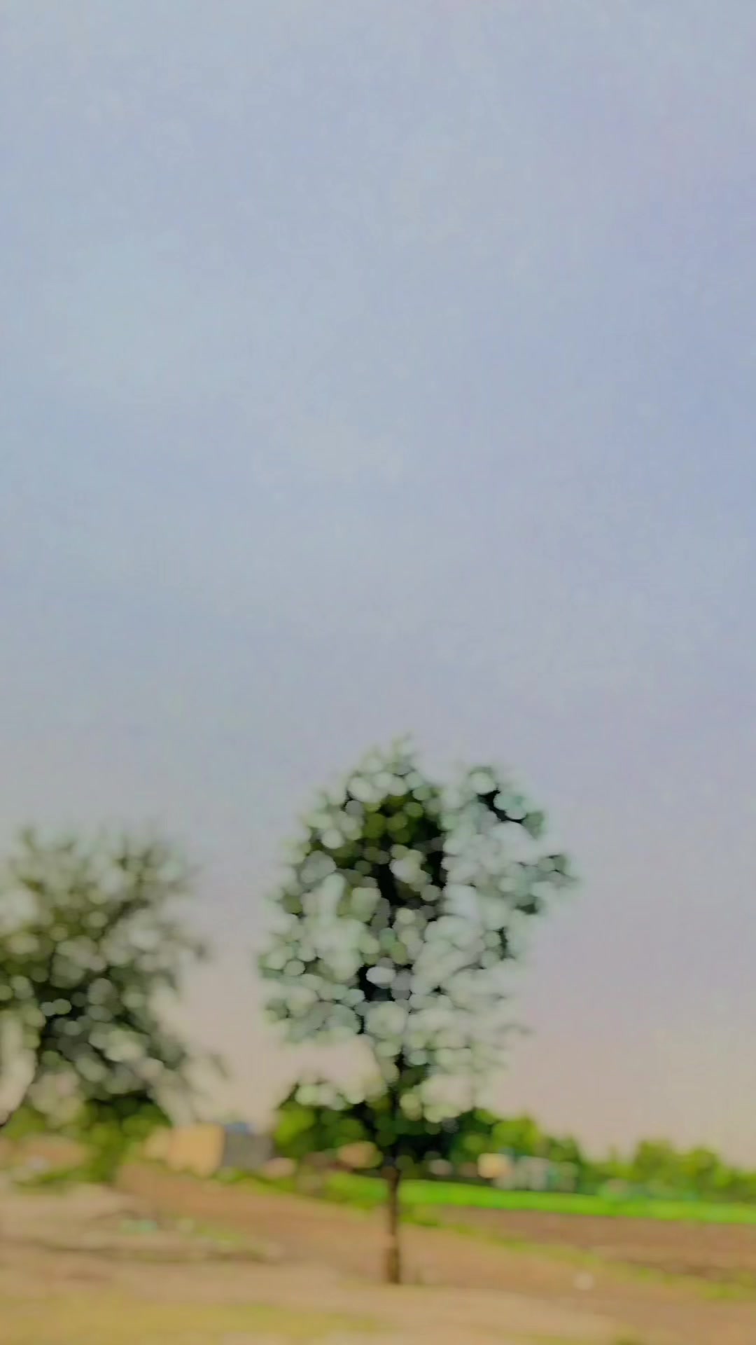 @Zain jani rajpoot