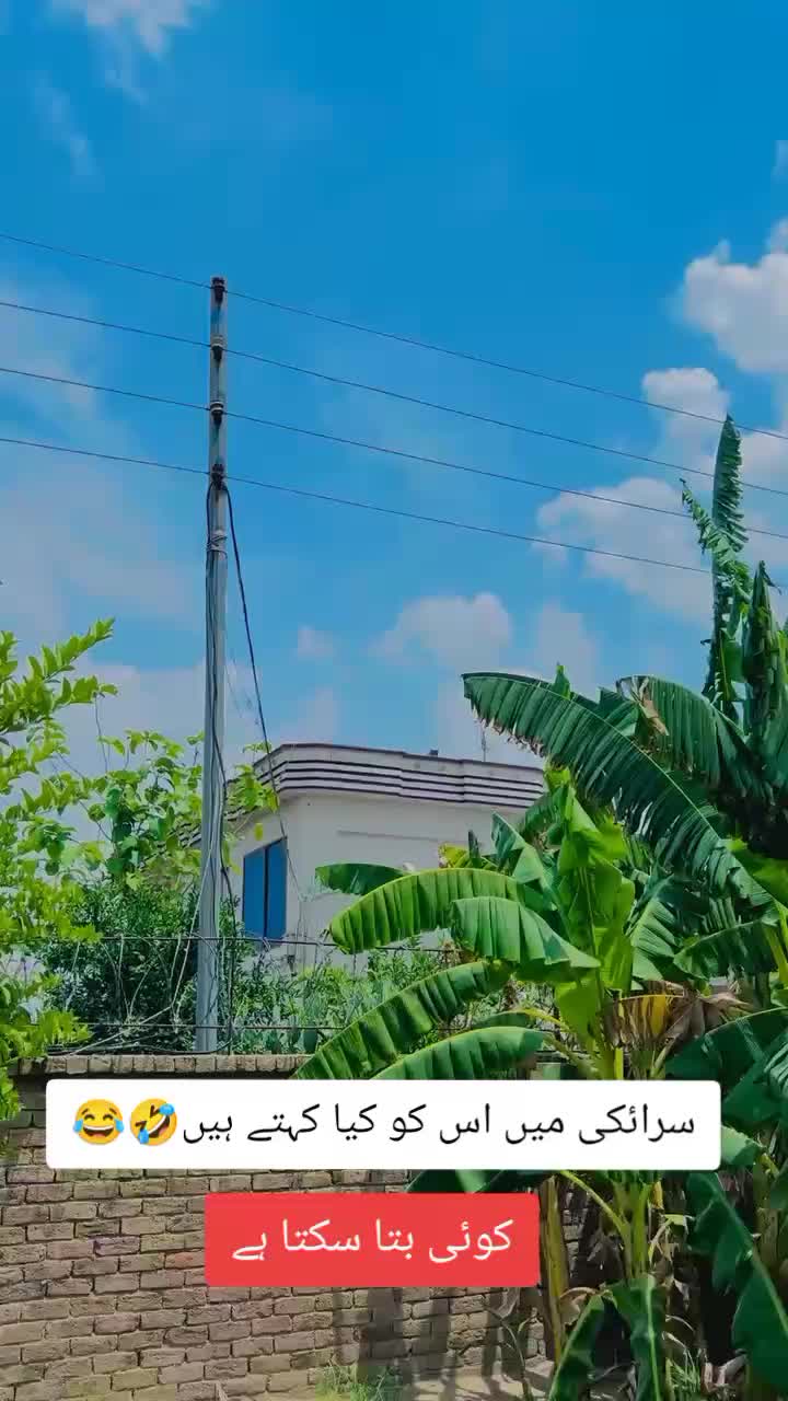 @🔥بلوچ 🔥