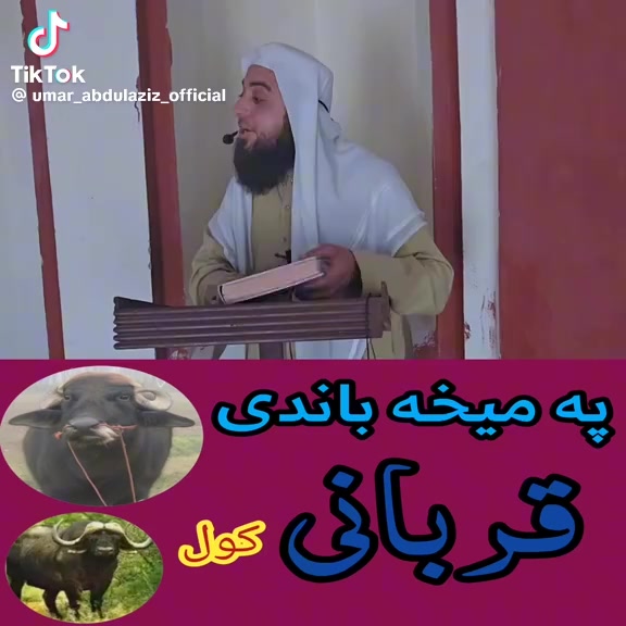 @@Foziashahzadi49
