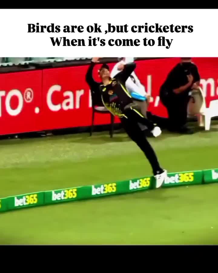 @🎀ھلال خان★𝓔𝓭𝓲𝓽𝓲𝓷𝓰🎀