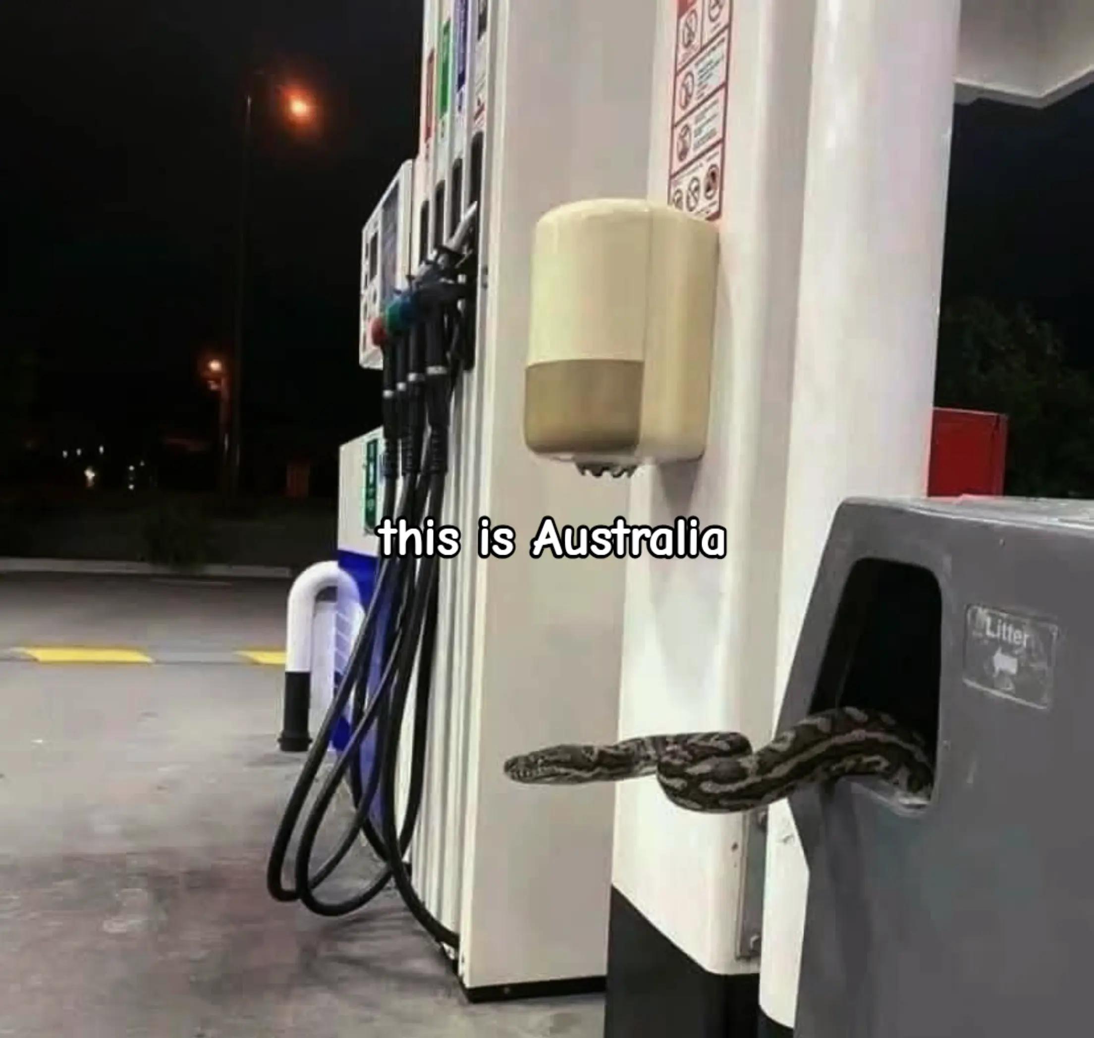 @Kylie 🇦🇺