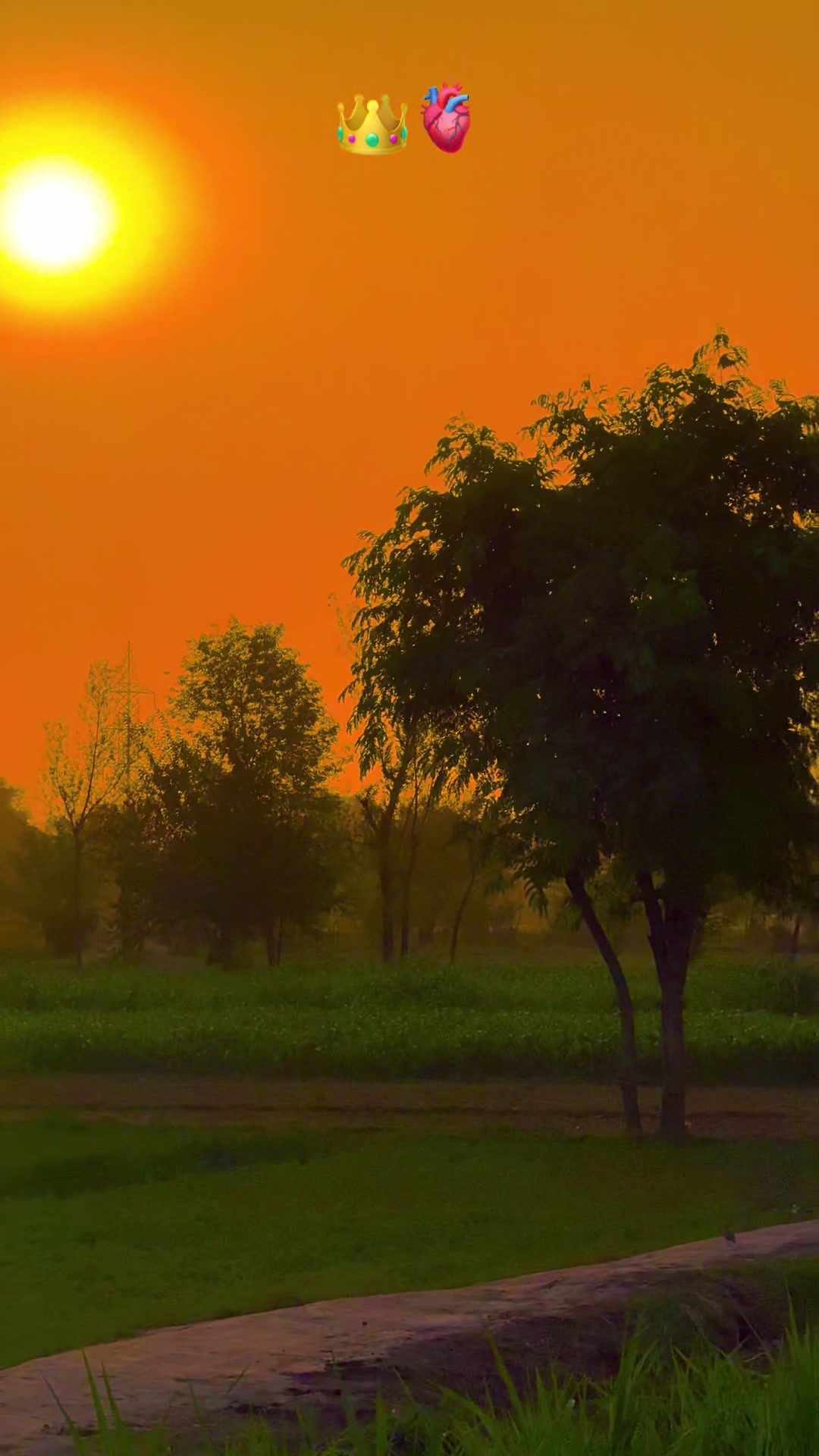 @پنجابی کلچر 🌾🍂