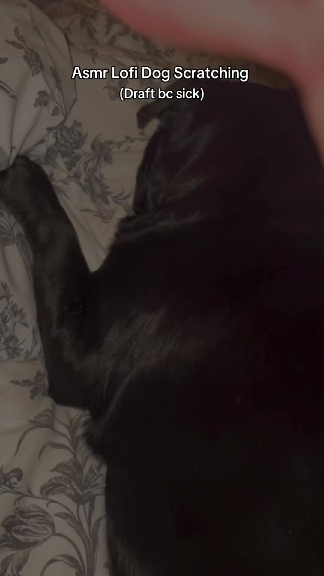 @𝗱𝗶𝘇𝘇𝘆𝘃𝗹𝘆⋆ ˚｡⋆୨୧˚