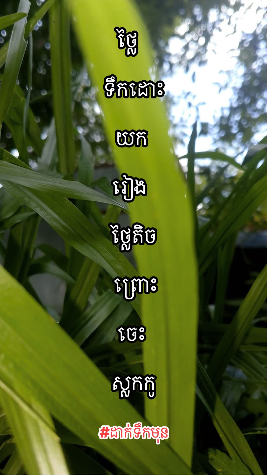 @លីណា🪷