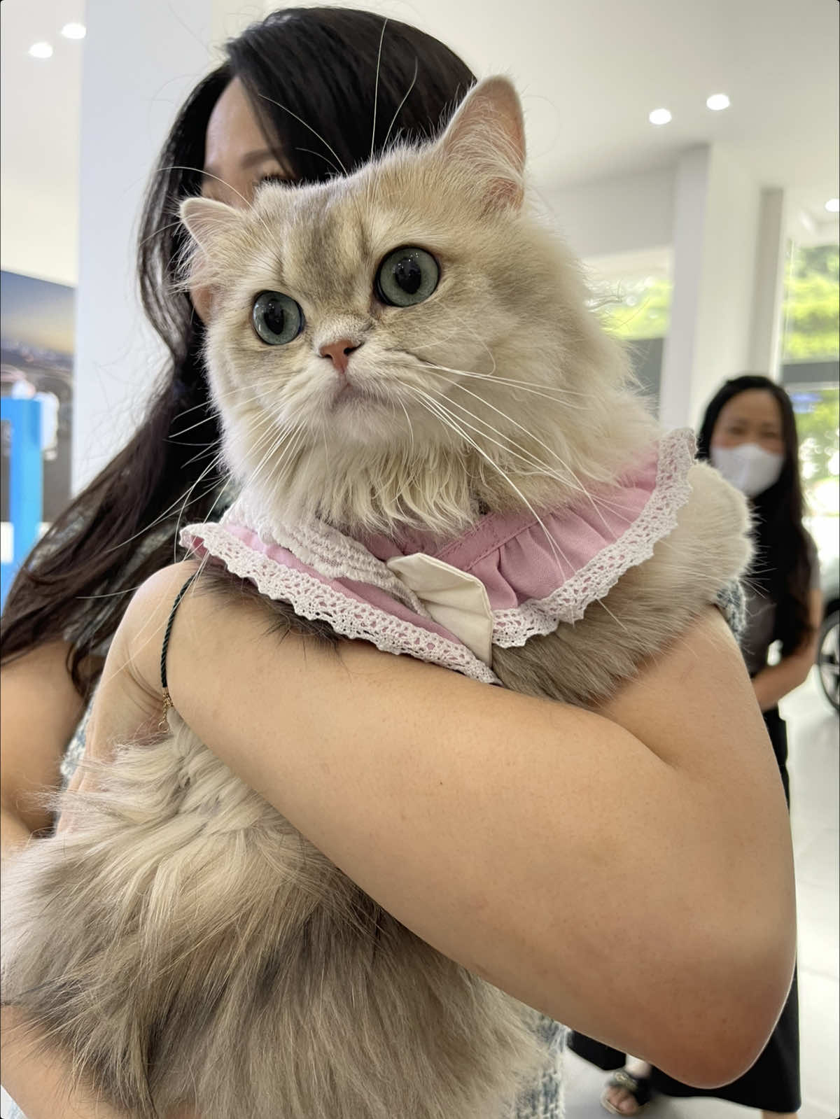 @🧕🏻 𝓝𝔂. 𝓘𝓷𝓭𝓪𝓱 𝓟𝓼 💚